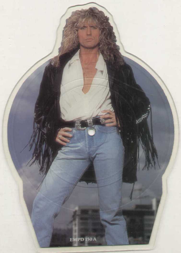 Now You're Gone Limited Edition Picture Disc Shape