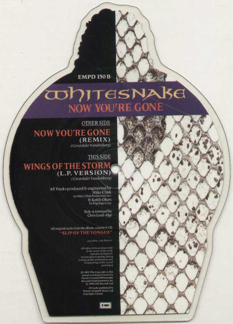 Now You're Gone Limited Edition Picture Disc Shape