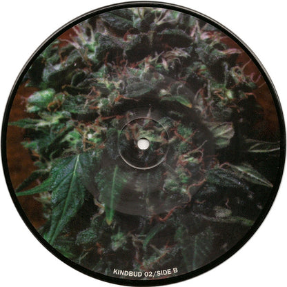 Phobia / Corrupted Picture Disc