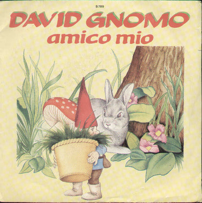 David Gnomo Amico Mio / Tutti Insieme Noi Guardiam Bim Bum..