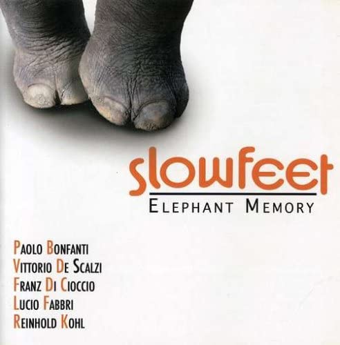 Elephant Memory