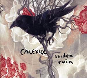 Garden Ruin Limited Edition CD+DVD