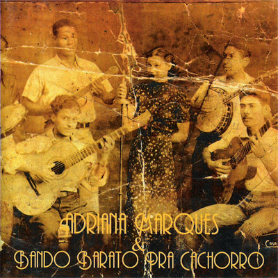 Bando Barato Pra Cachorro