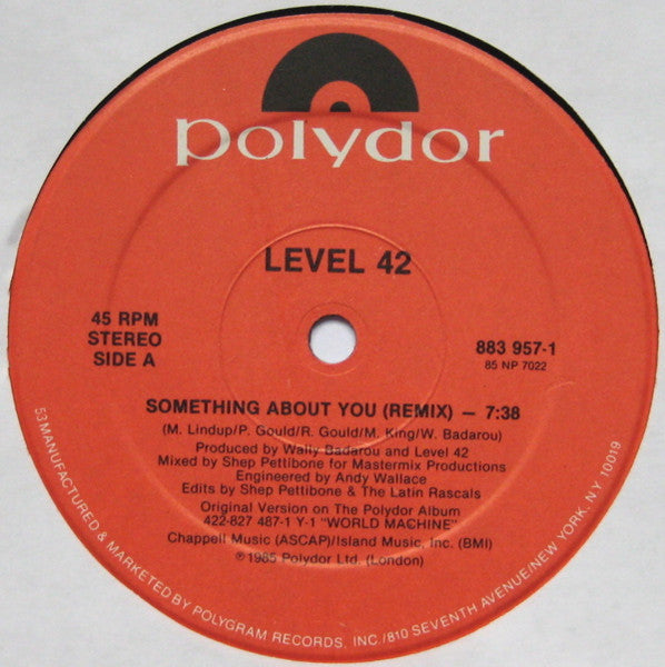 Something About You Remix
