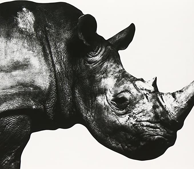 Mr. Children 1992-95