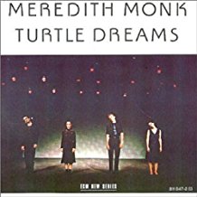 Turtle Dreams