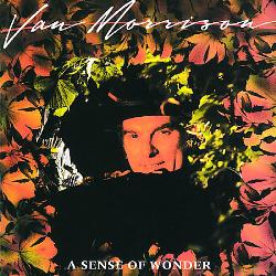 Sense Of Wonder