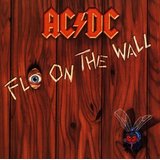 Fly On The Wall