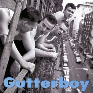 Gutterboy 07599242822