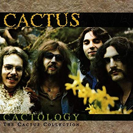 Cactology The Cactus Collection