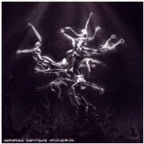 The Silver Tree Limited Edition Cd+Dvd