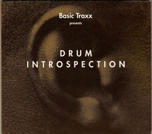 Drum Introspection