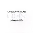 A Beautiful Life