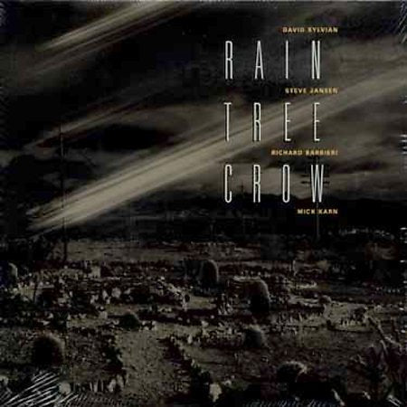 Rain Tree Crow