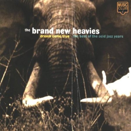 Dream Come True The Best Of Acid Jazz Years
