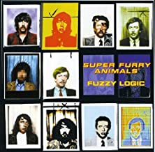 Fuzzy Logic