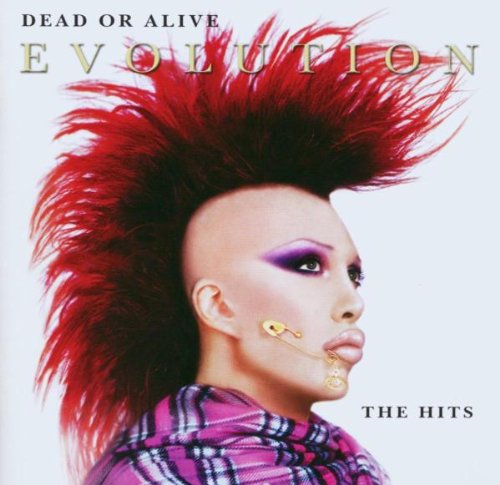 Evolution The Hits