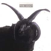 The Cult