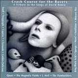 Crash Course For The Ravers A Tribute To The Songs Of David