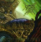 Growing Seeds Of Decay