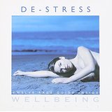 Wellbeing Life Style Twelwe Guide
