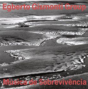 Musica De Sobrevivencia