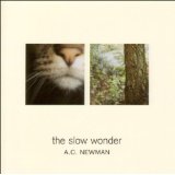 The Slow Wonder