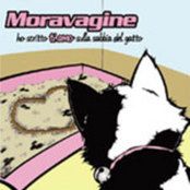 Ho Scritto Ti Amo Sulla Sabbia Del Gatto