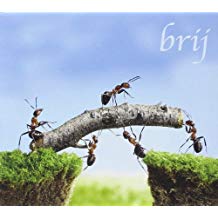 Brij