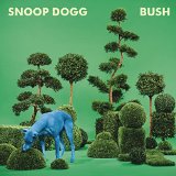 Bush