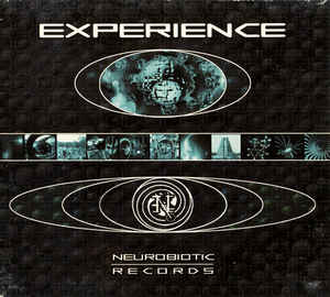 Experience