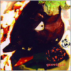 Grovigli
