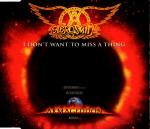 I Don't Want To Miss A Thing