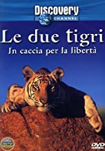 Le Due Tigri