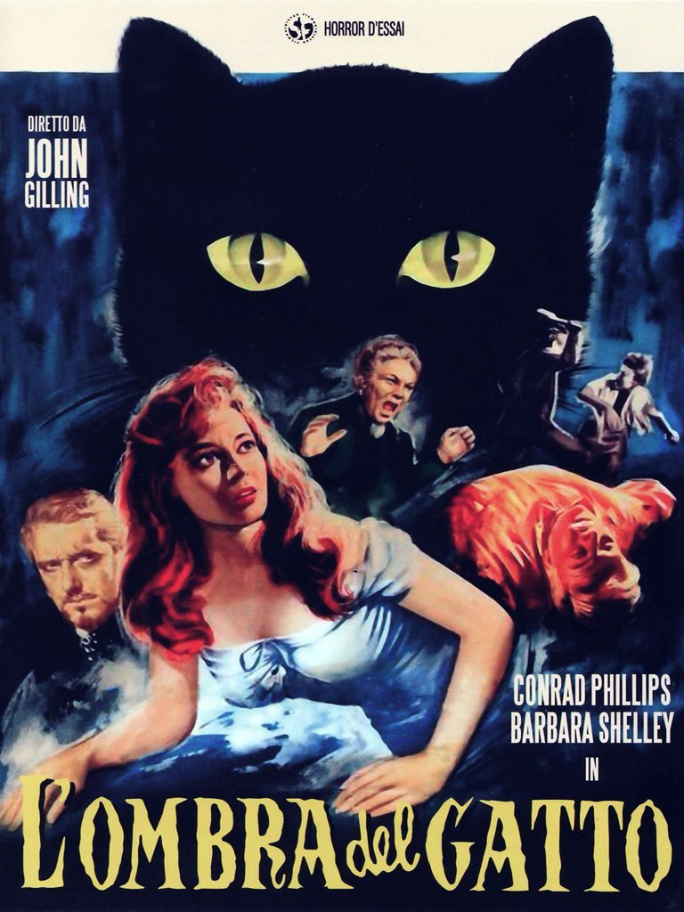 L'ombra Del Gatto