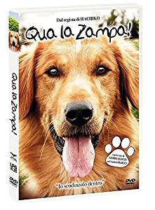 Qua La Zampa