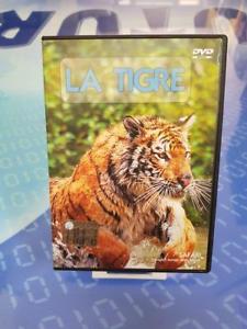 La Tigre Safari Il Magico Mondo Degli Animali