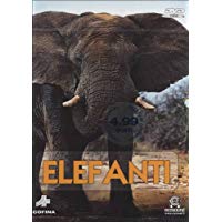 Elefanti Safari Ikl Magico Mondo Degli Animali