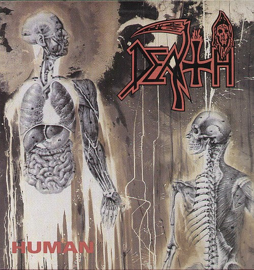 Human