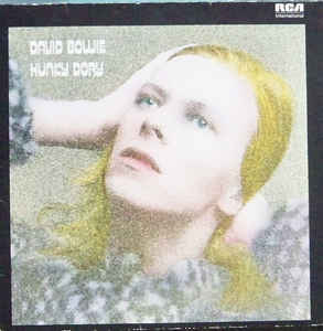 Hunky Dory