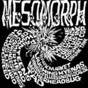 Mesomorph Enduros