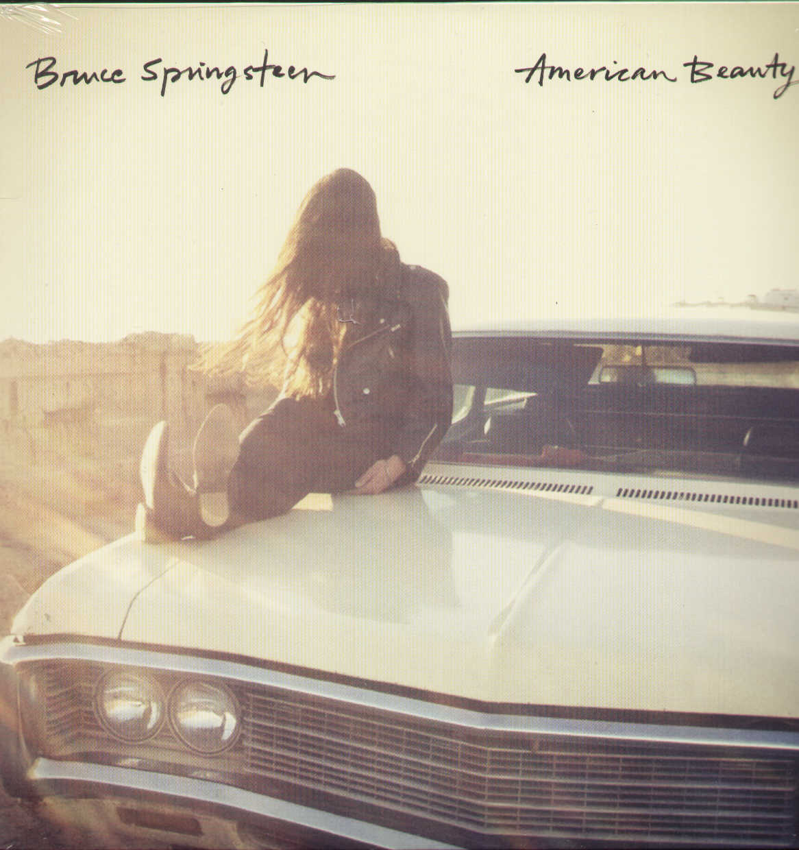 American Beauty