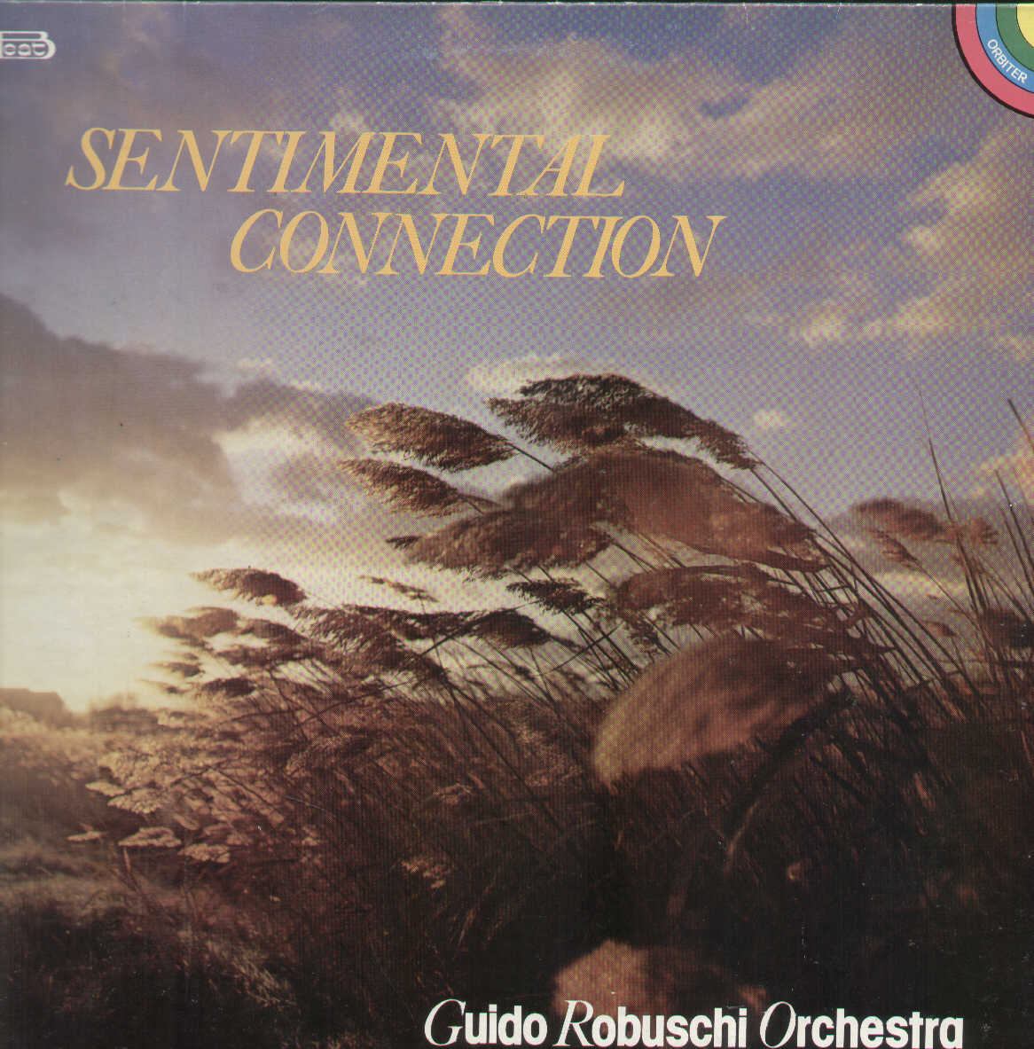 Sentimental Connection