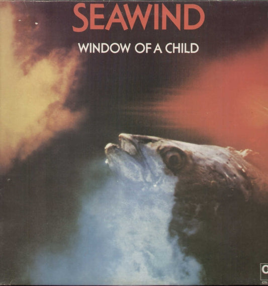 Window Of A Child