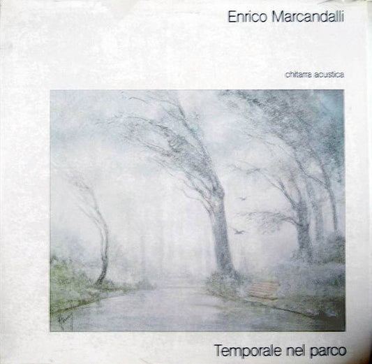 Temporale Nel Parco