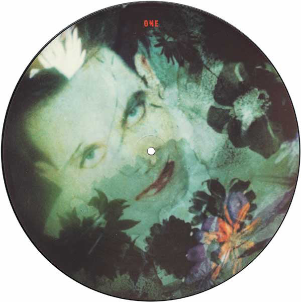 Disintegration Picture Disc Limited Edition