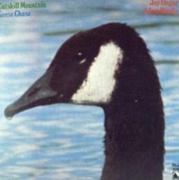 Catskill Mountain Goose Chase