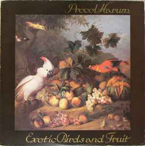 Exotic Birds And Fruit