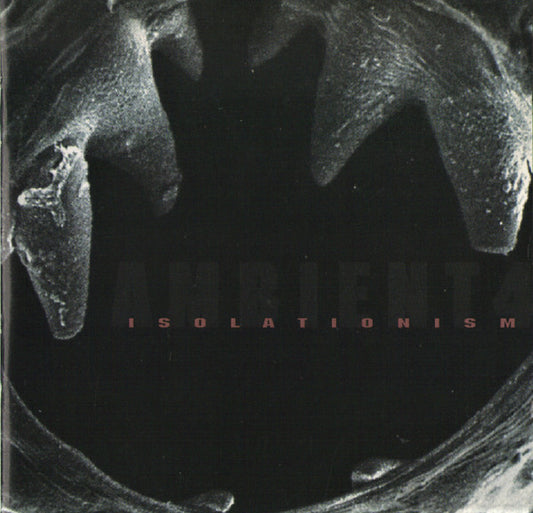 Ambient 4 Isolationism