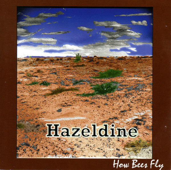 How Bees Fly